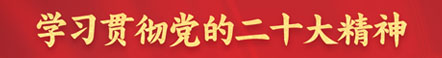 學(xué)習(xí)貫徹黨的二十大精神